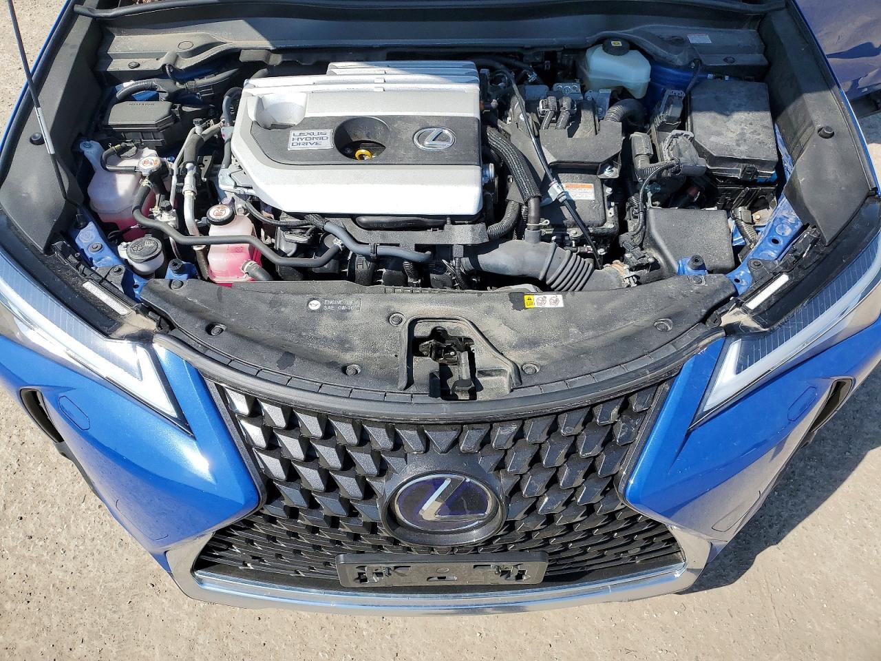 2021 LEXUS ALL OTHER