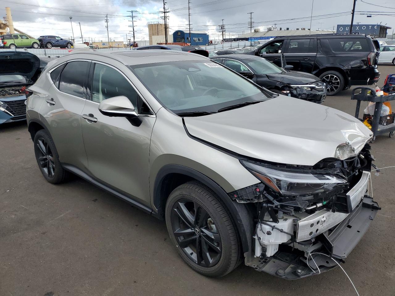 2025 LEXUS NX