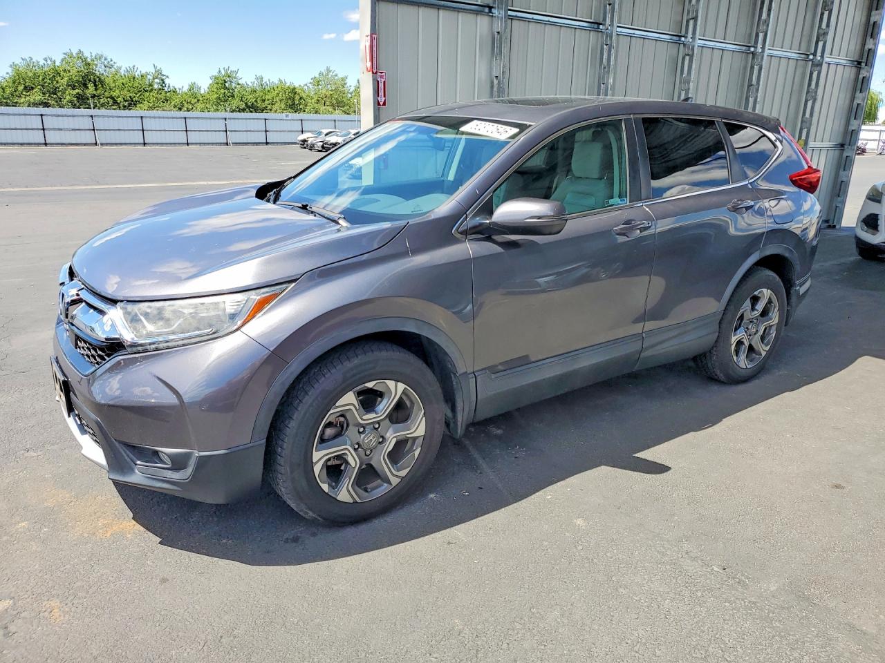 2019 HONDA CRV