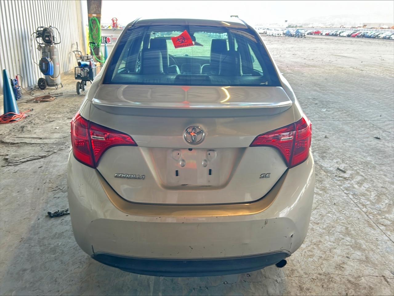 2019 TOYOTA COROLLA
