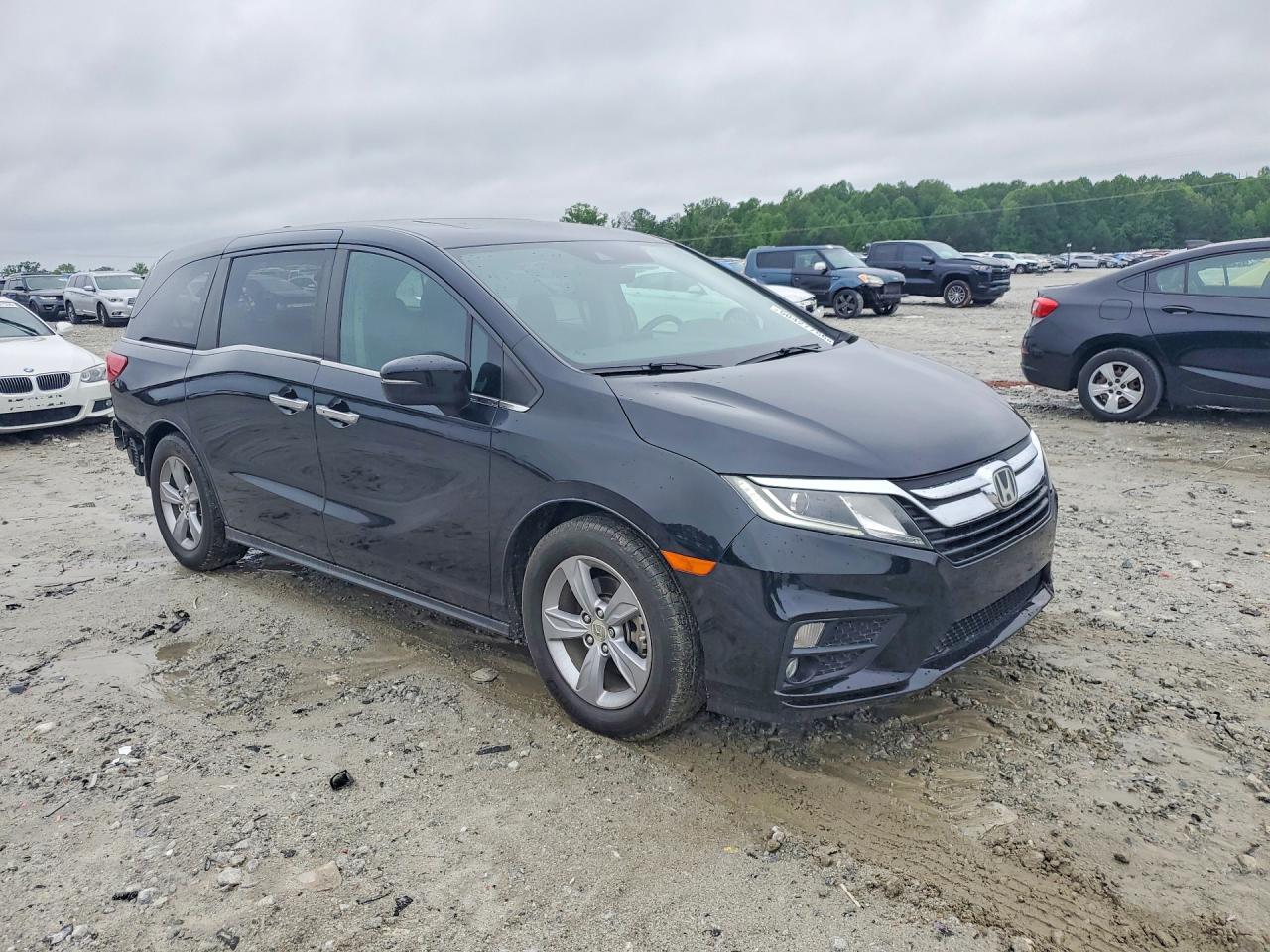 2019 HONDA All Models