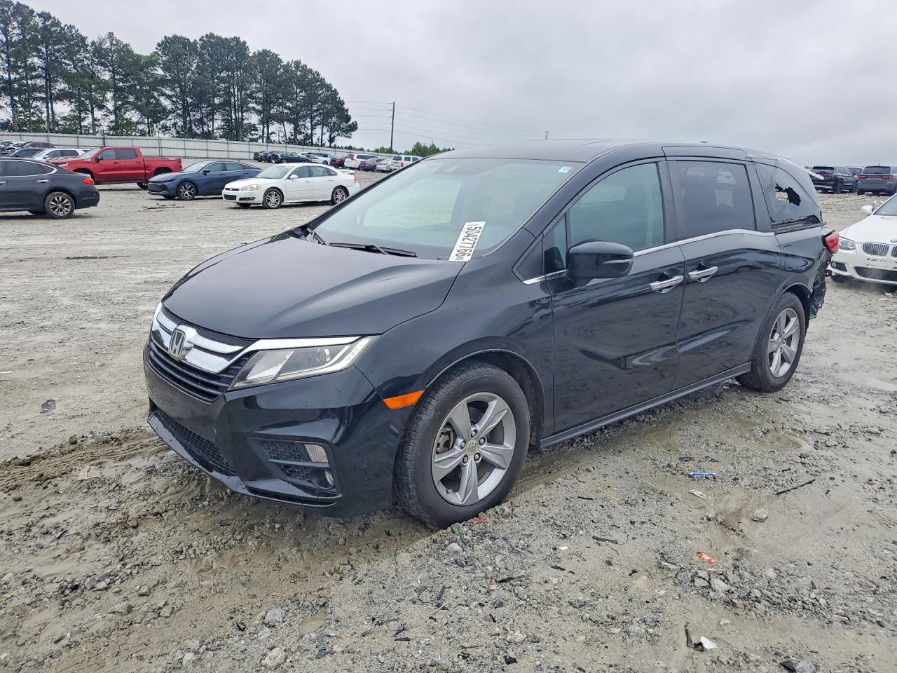 2019 HONDA All Models