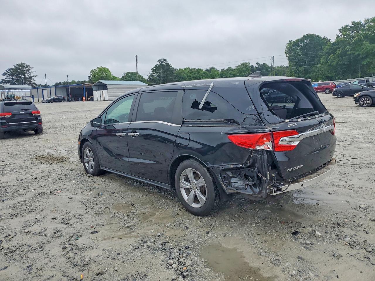 2019 HONDA All Models