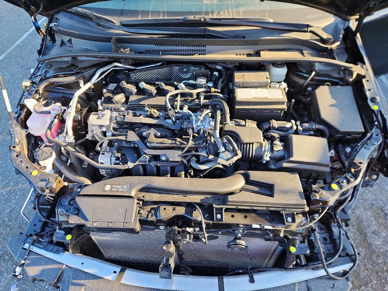 2025 TOYOTA COROLLA