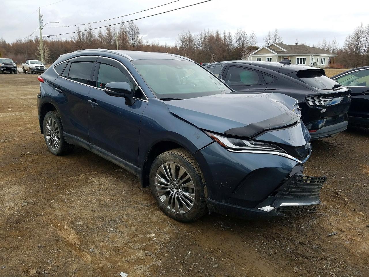 2024 TOYOTA VENZA