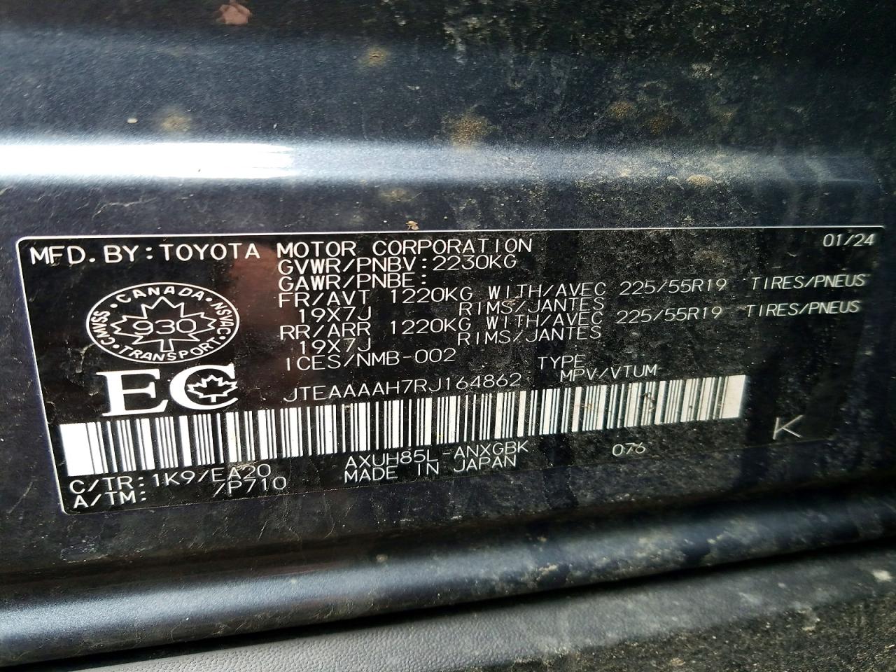 2024 TOYOTA VENZA