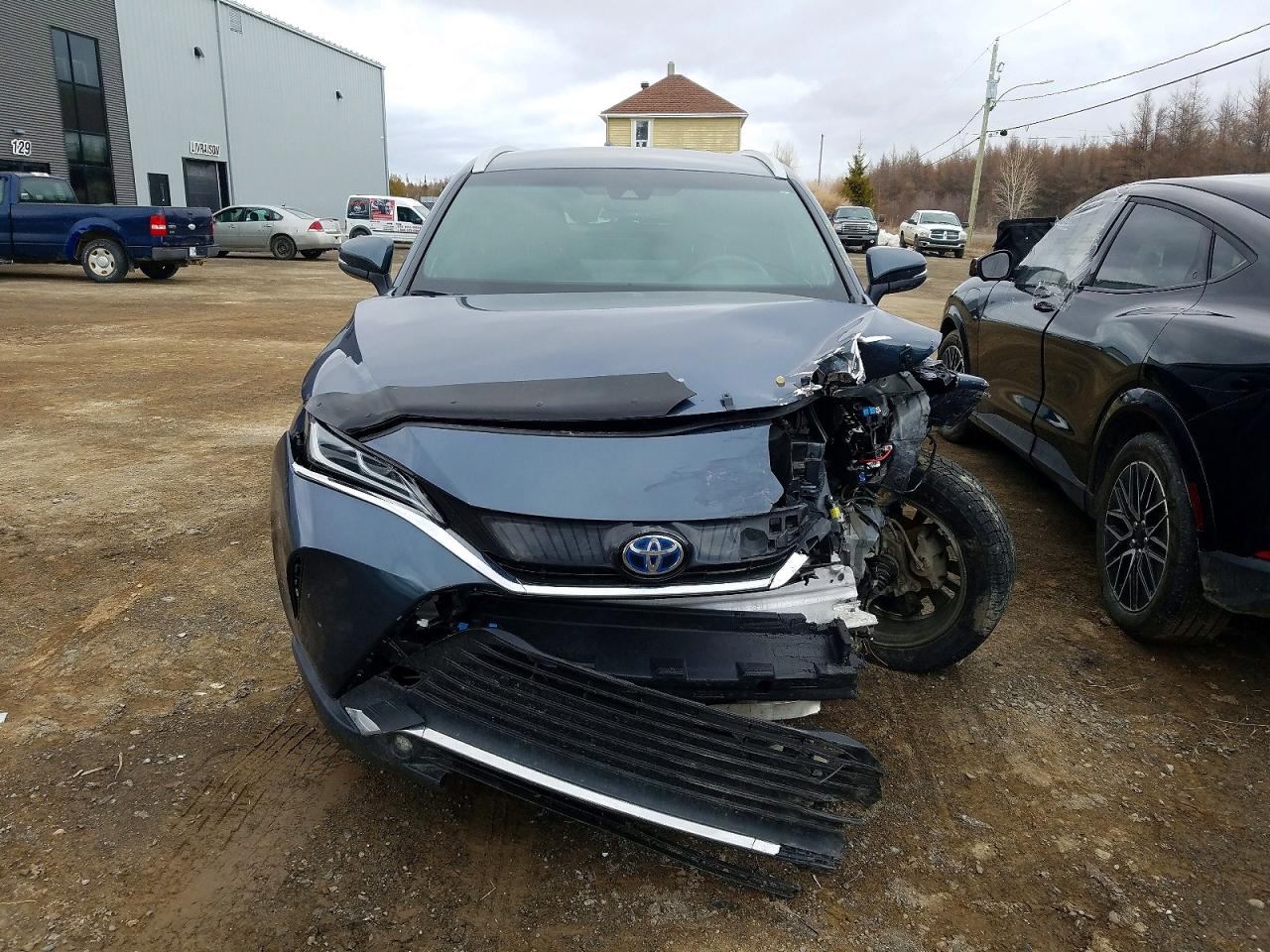 2024 TOYOTA VENZA