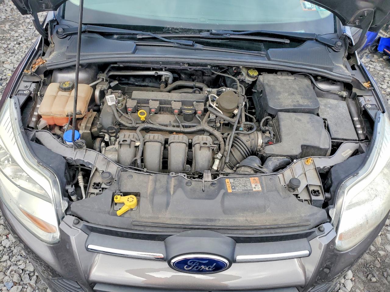2014 FORD FOCUS