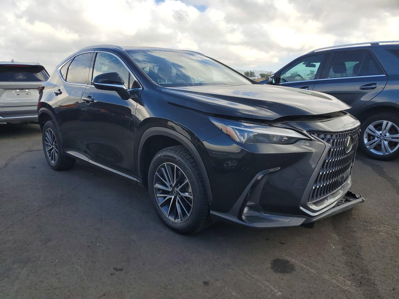 2024 LEXUS NX