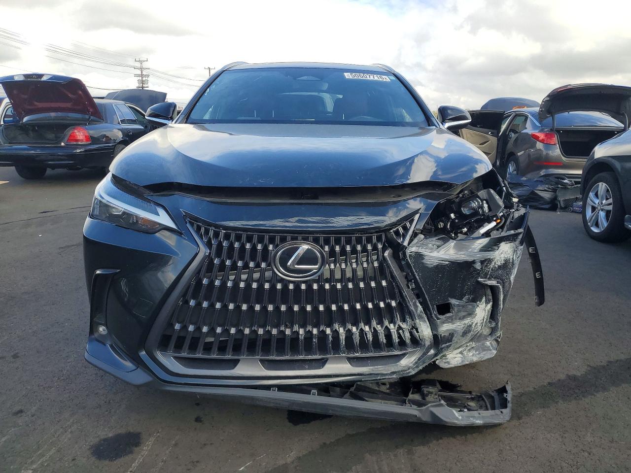 2024 LEXUS NX