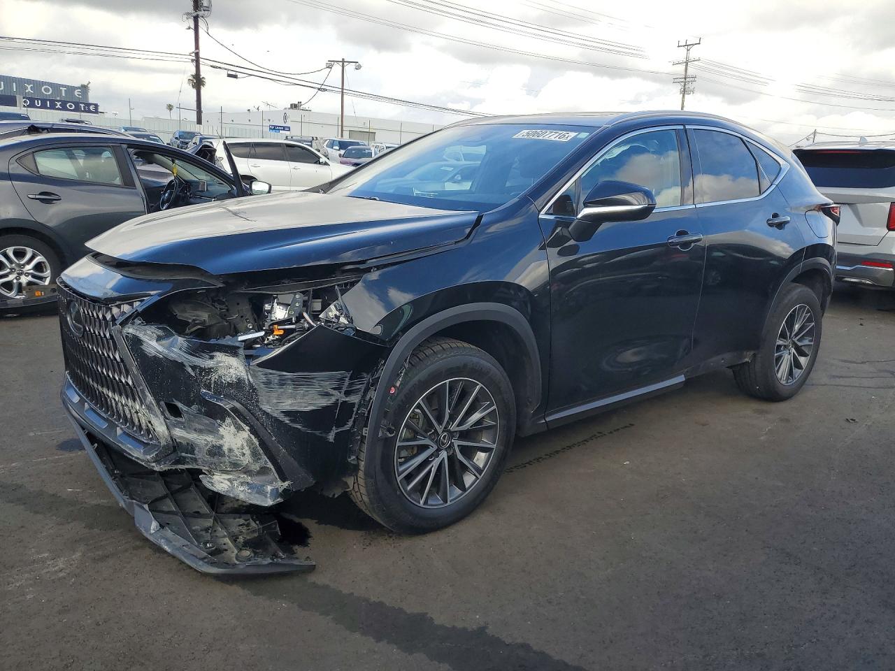 2024 LEXUS NX