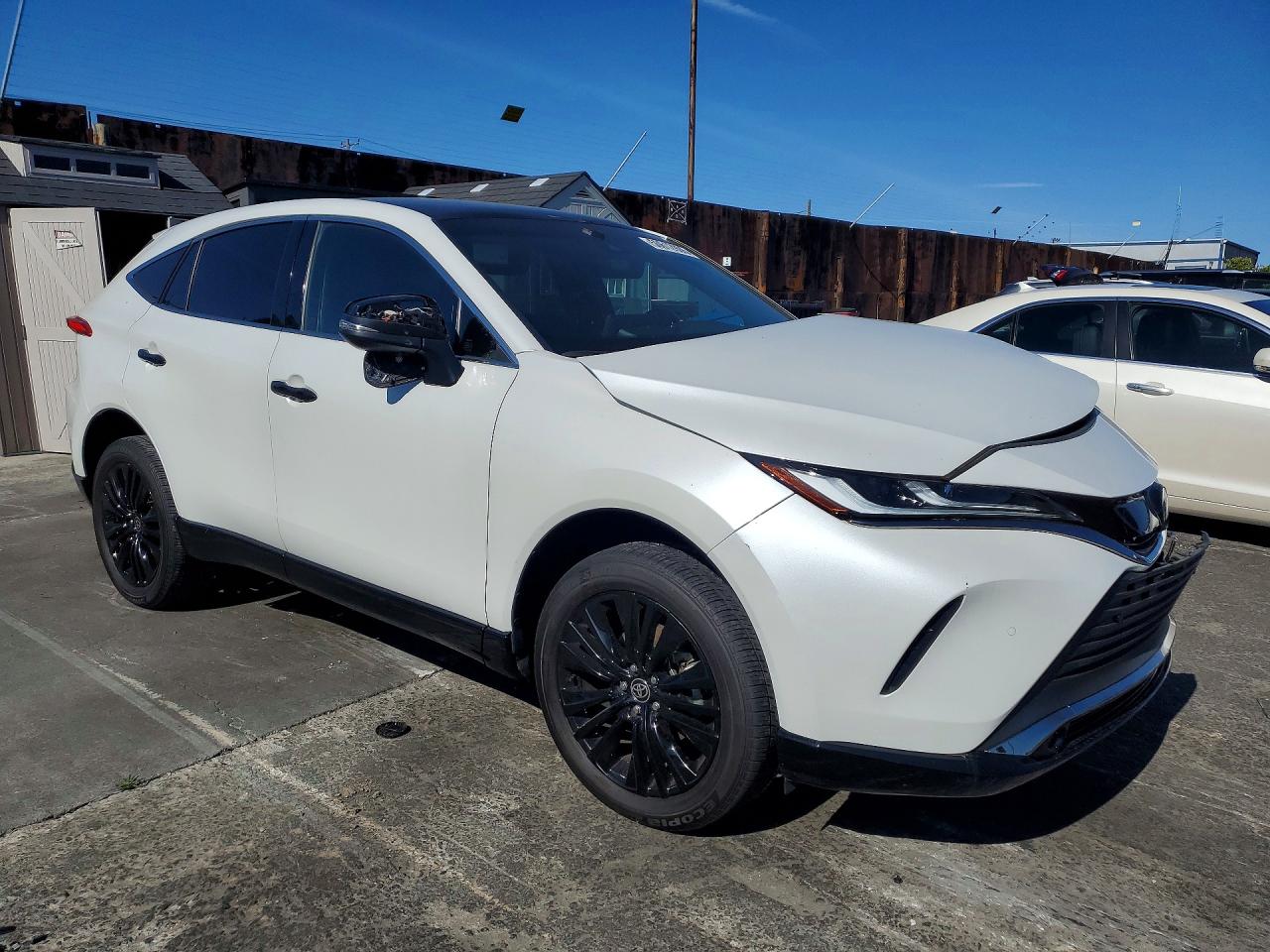 2024 TOYOTA VENZA