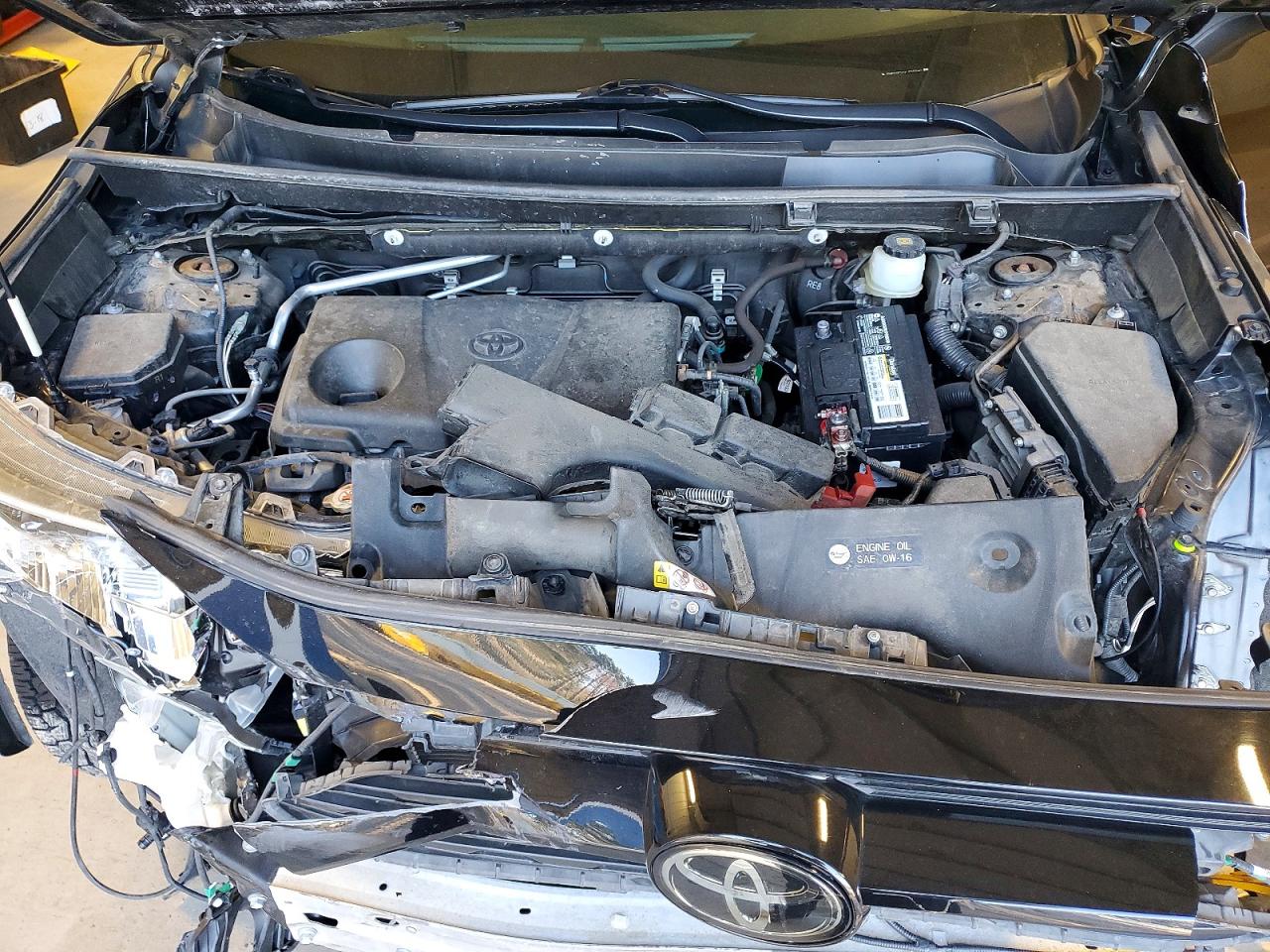 2019 TOYOTA RAV4