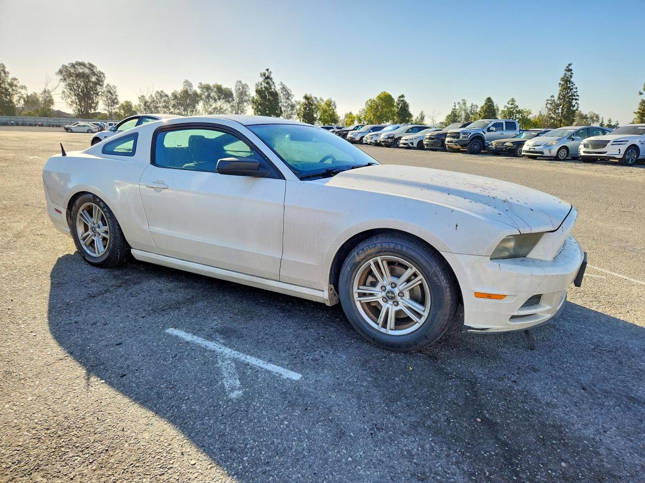 2013 FORD ALL Models