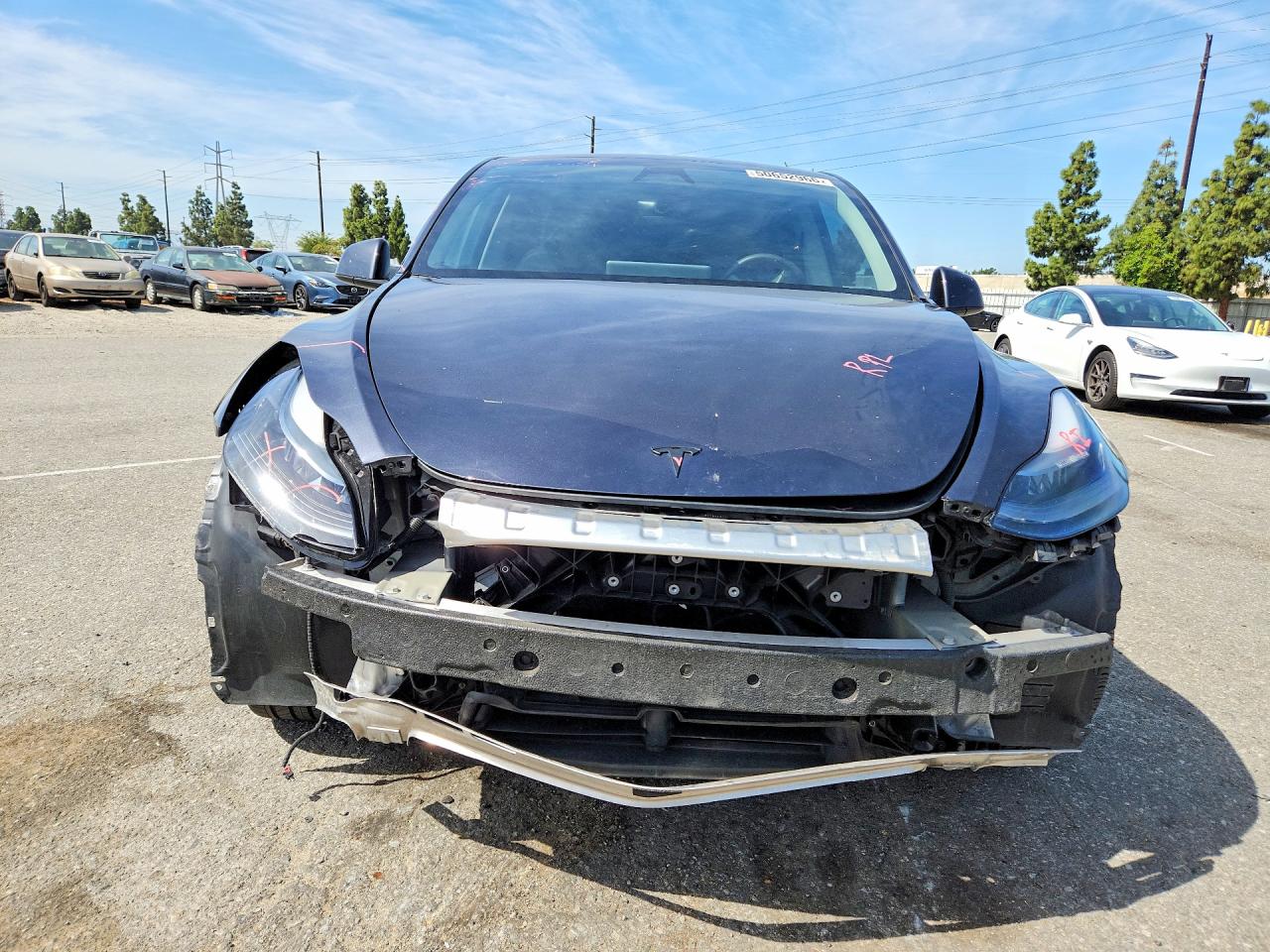 2024 TESLA MODEL Y