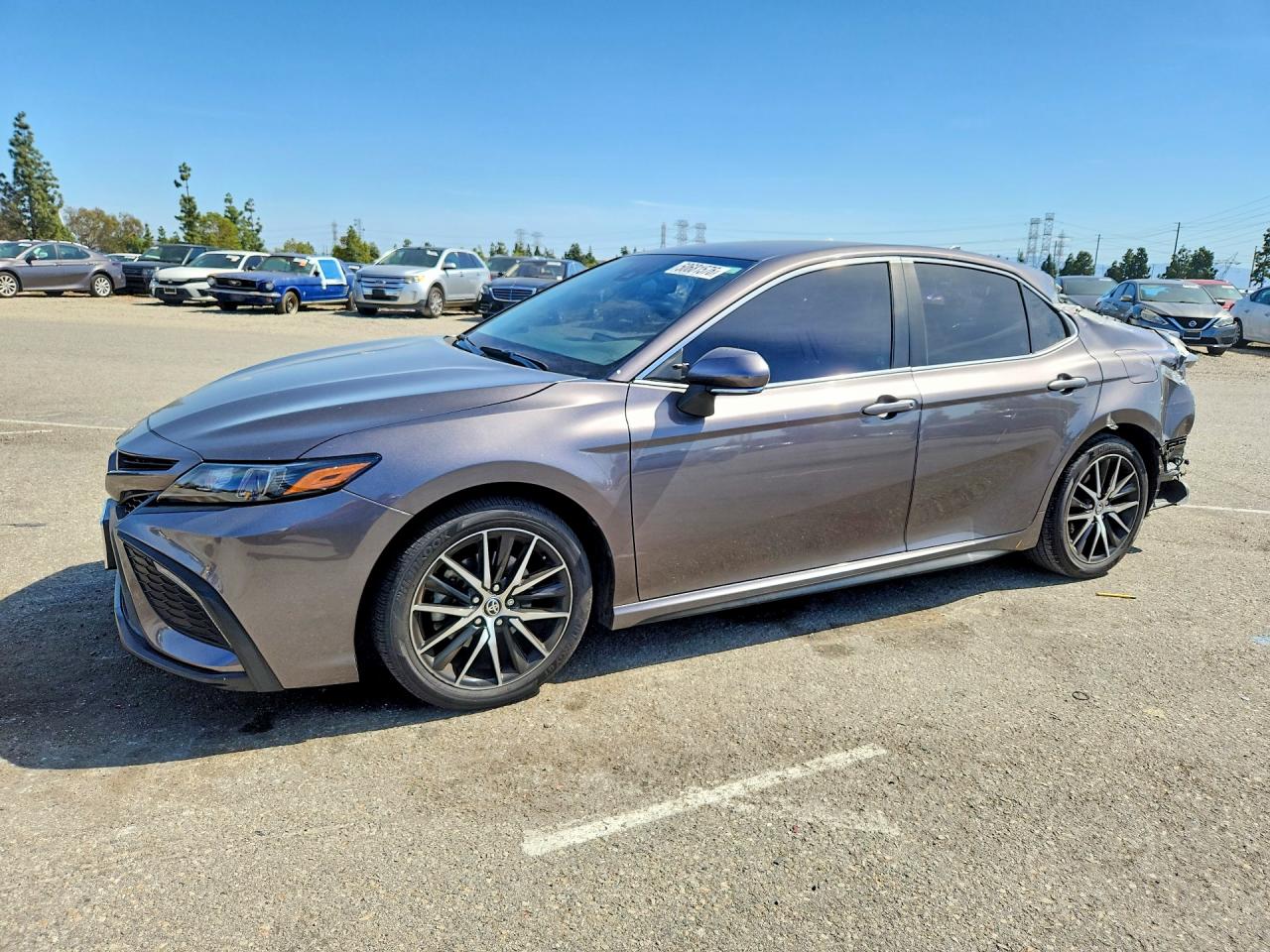 2023 TOYOTA CAMRY