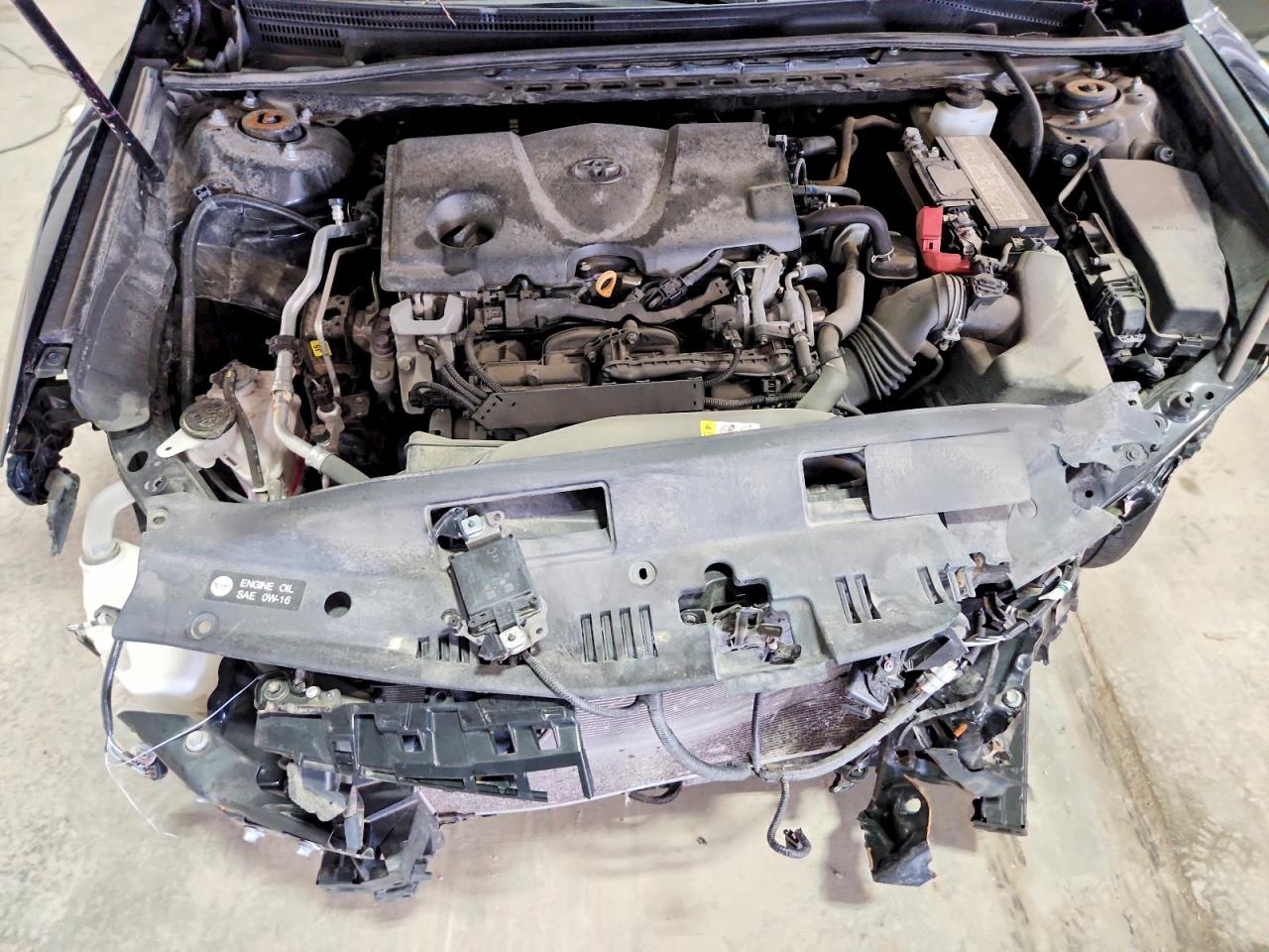 2019 TOYOTA CAMRY