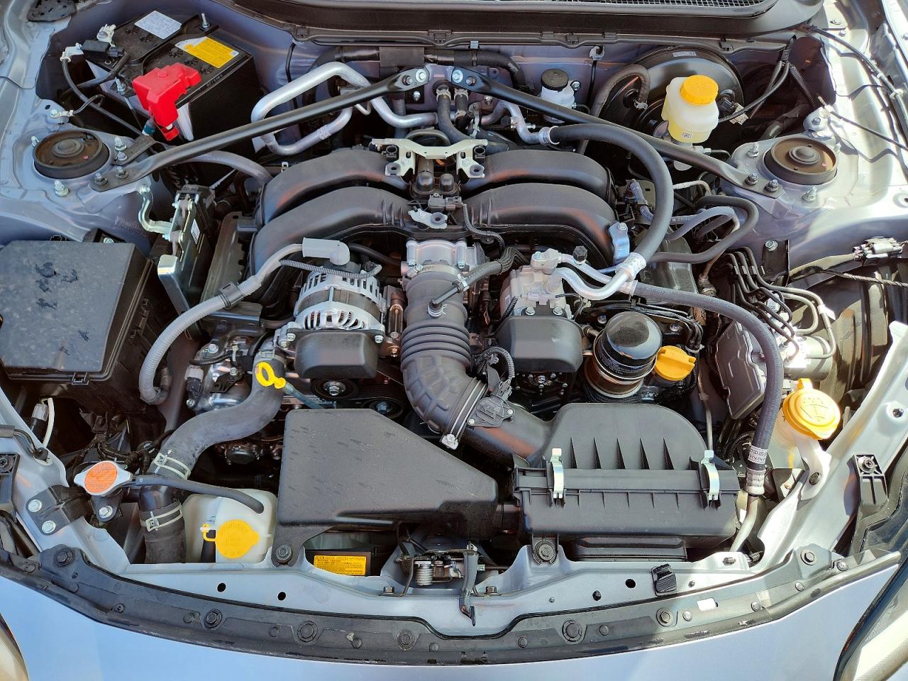 2025 TOYOTA