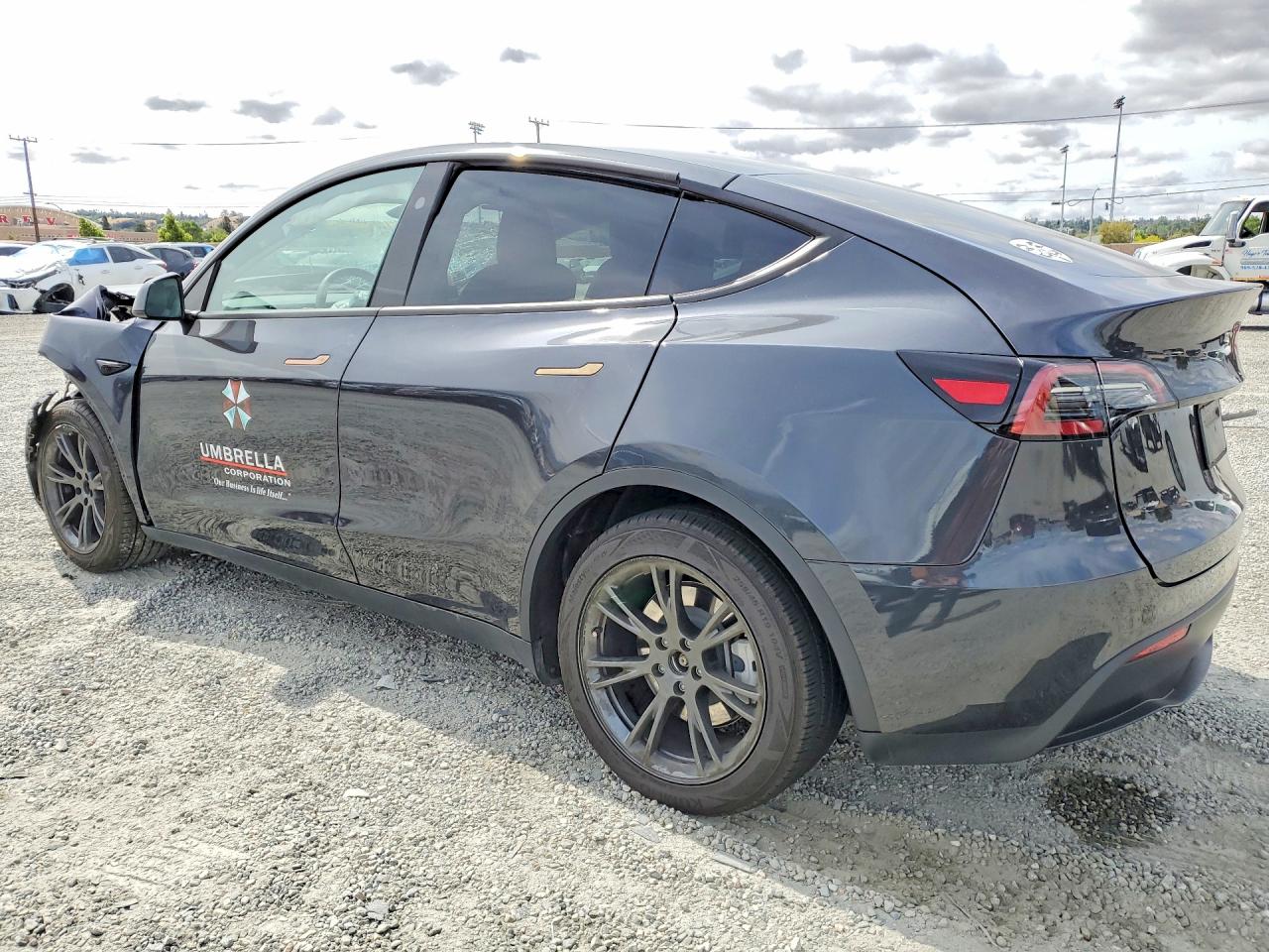 2024 TESLA MODEL Y