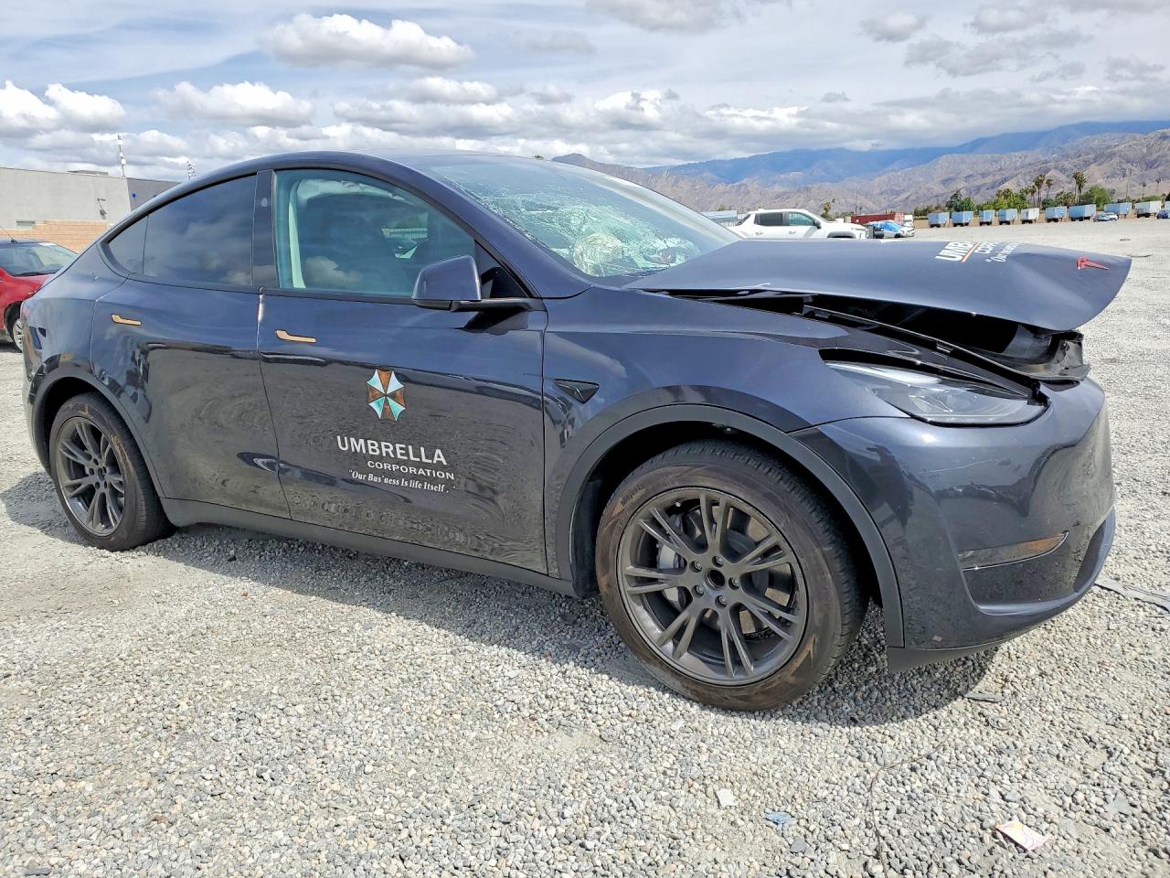 2024 TESLA MODEL Y