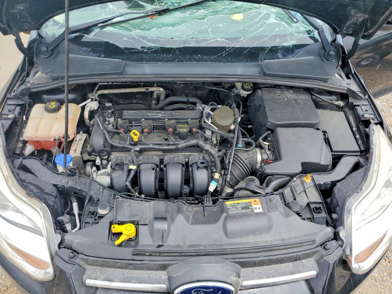 2014 FORD FOCUS