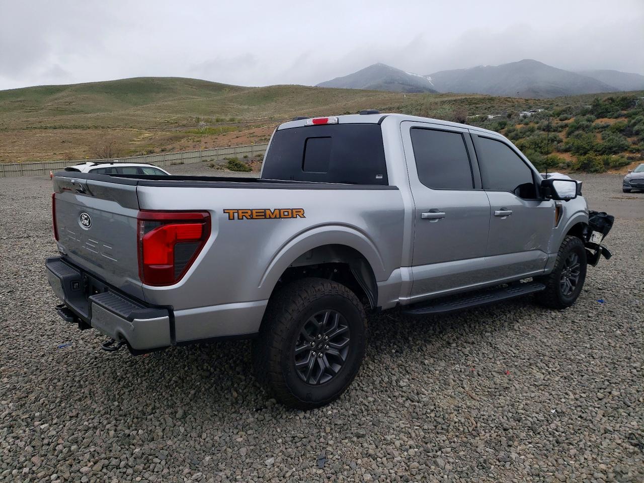 2025 FORD F150 TREMO