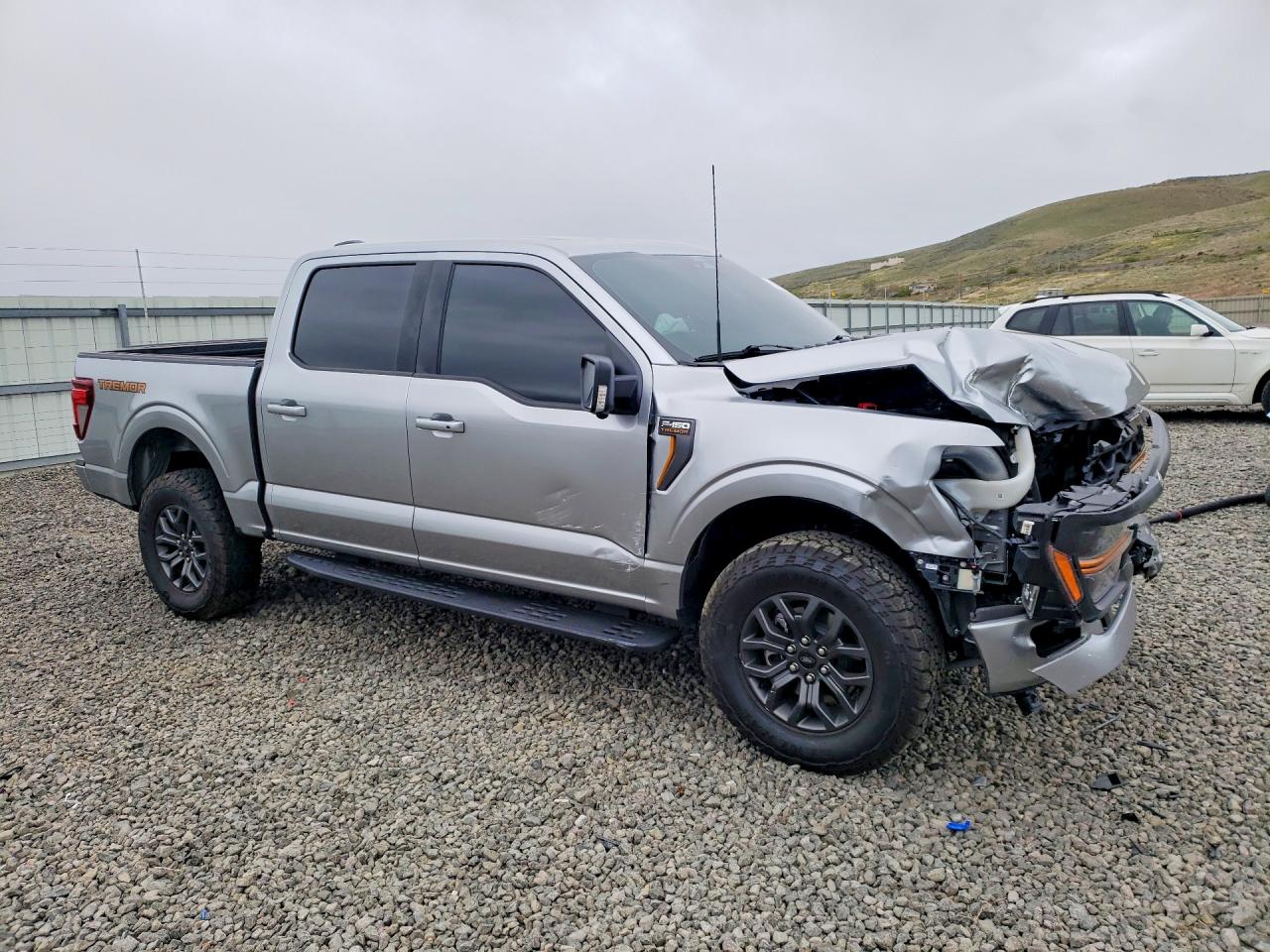2025 FORD F150 TREMO