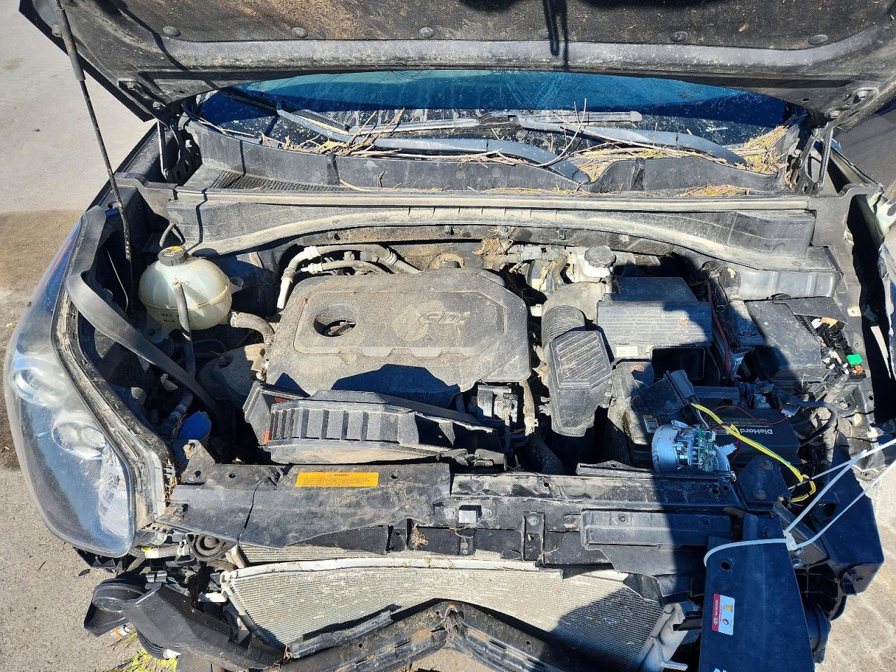 2019 KIA SPORTAGE