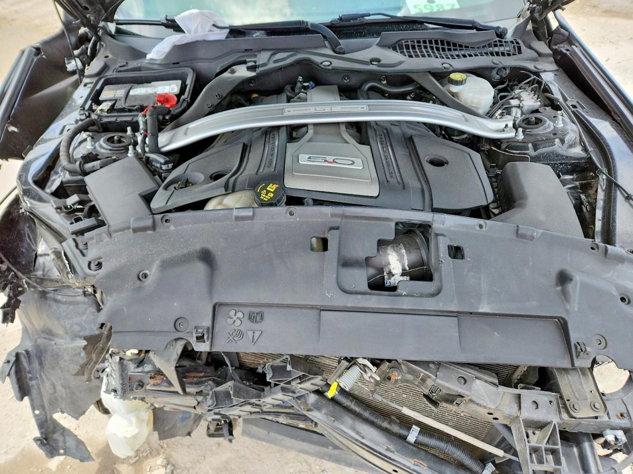 2019 FORD MUSTANG