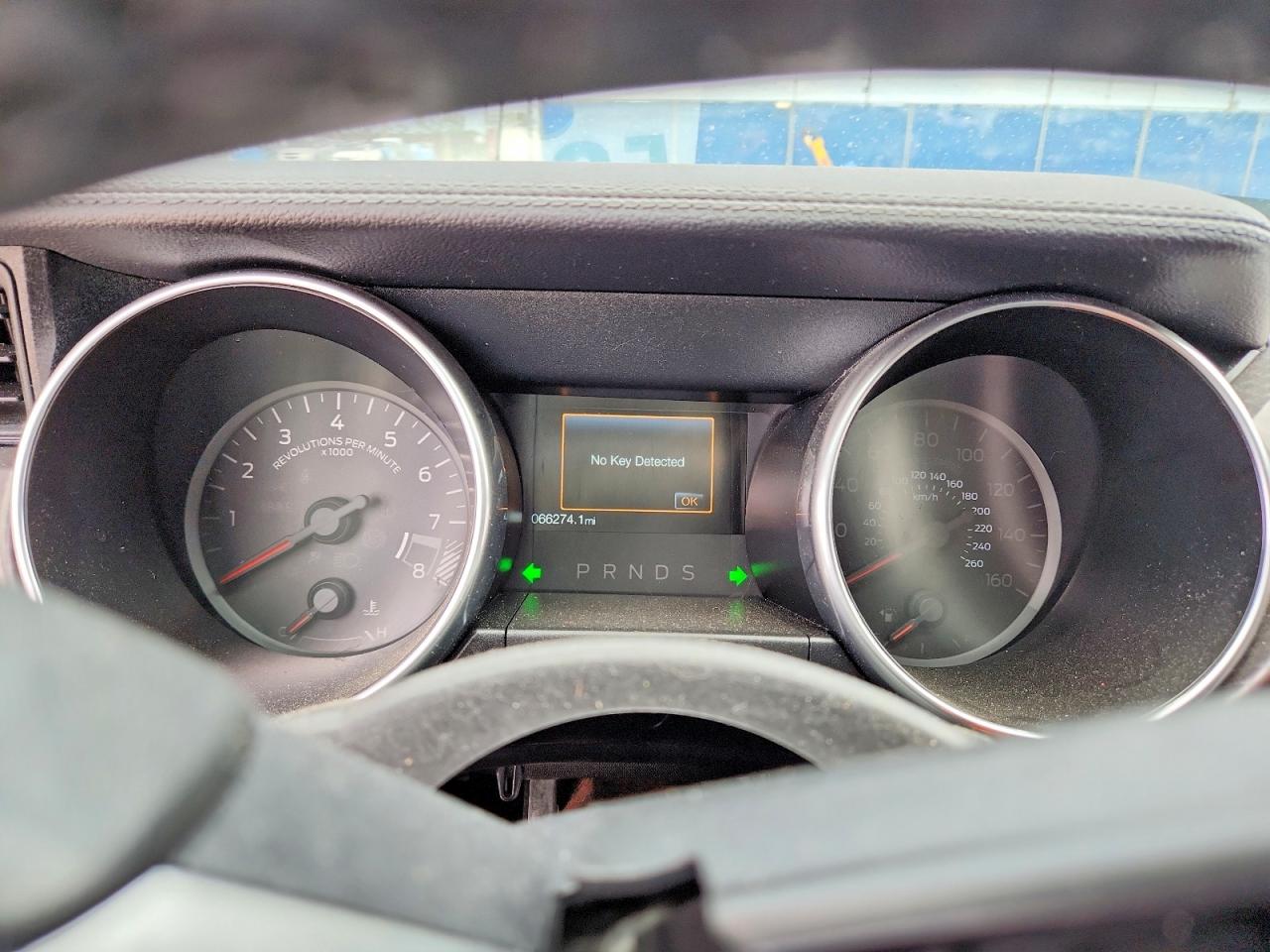 2019 FORD MUSTANG