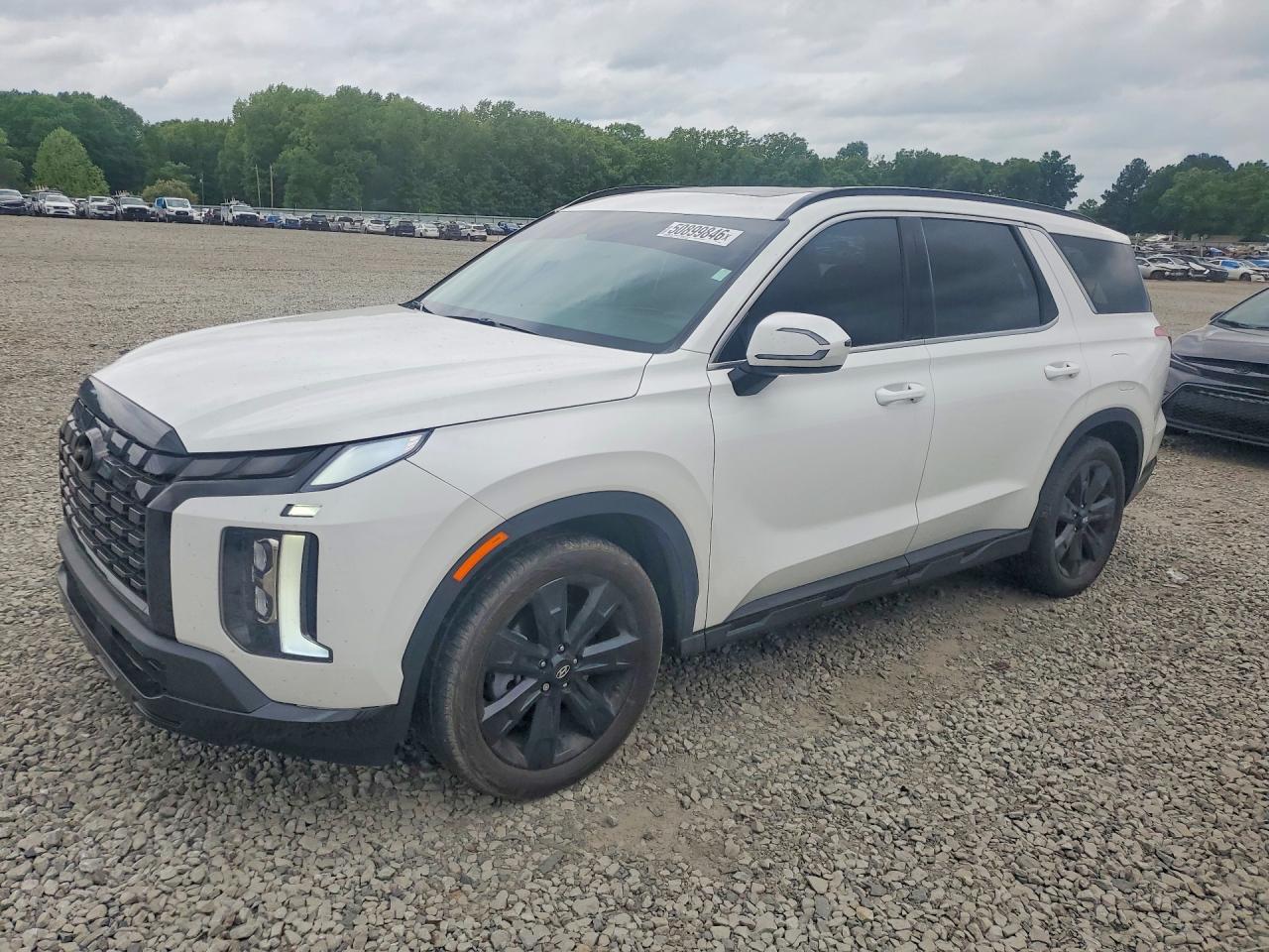 2024 HYUNDAI PALISADE