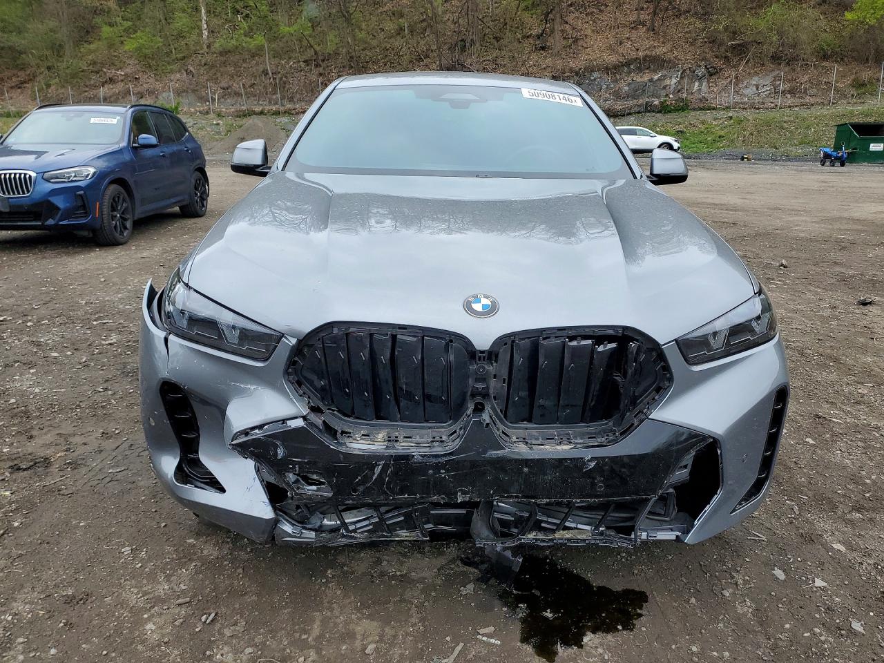 2024 BMW X6