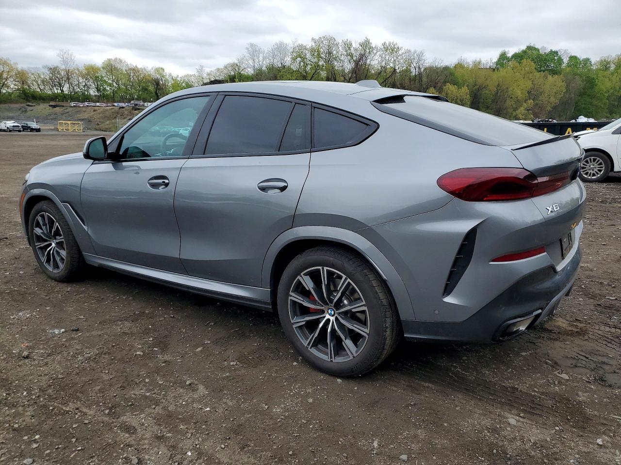 2024 BMW X6