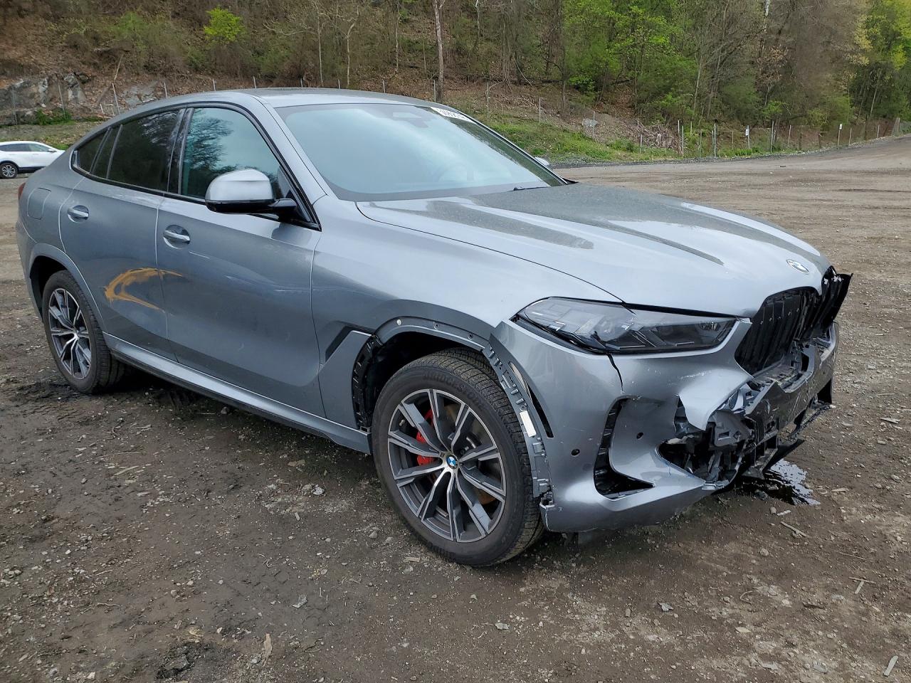 2024 BMW X6