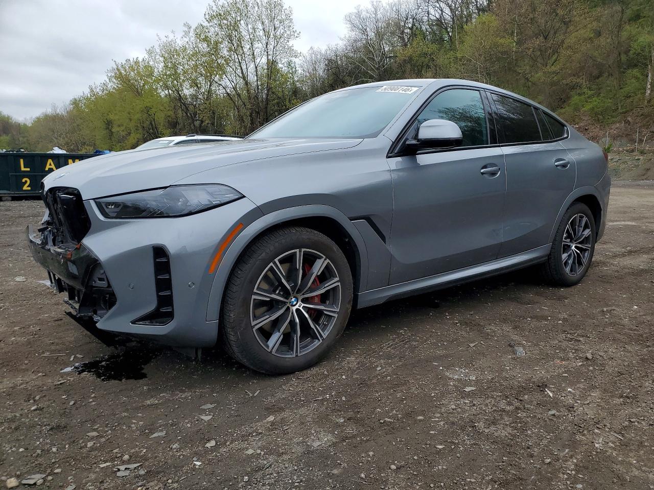 2024 BMW X6