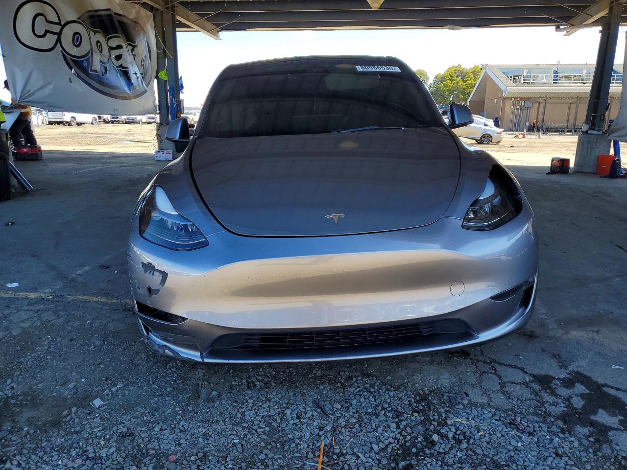 2025 TESLA MODEL Y