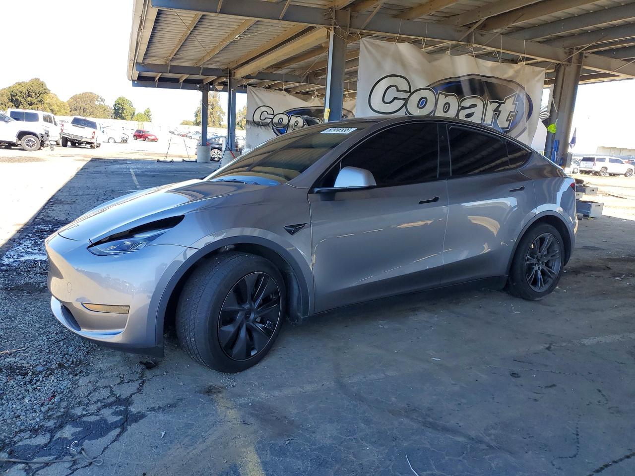 2025 TESLA MODEL Y