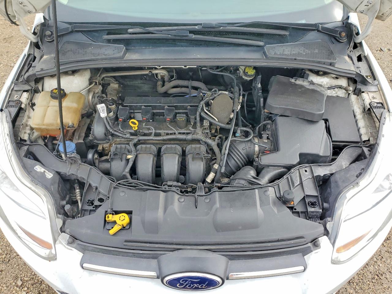 2014 FORD FOCUS