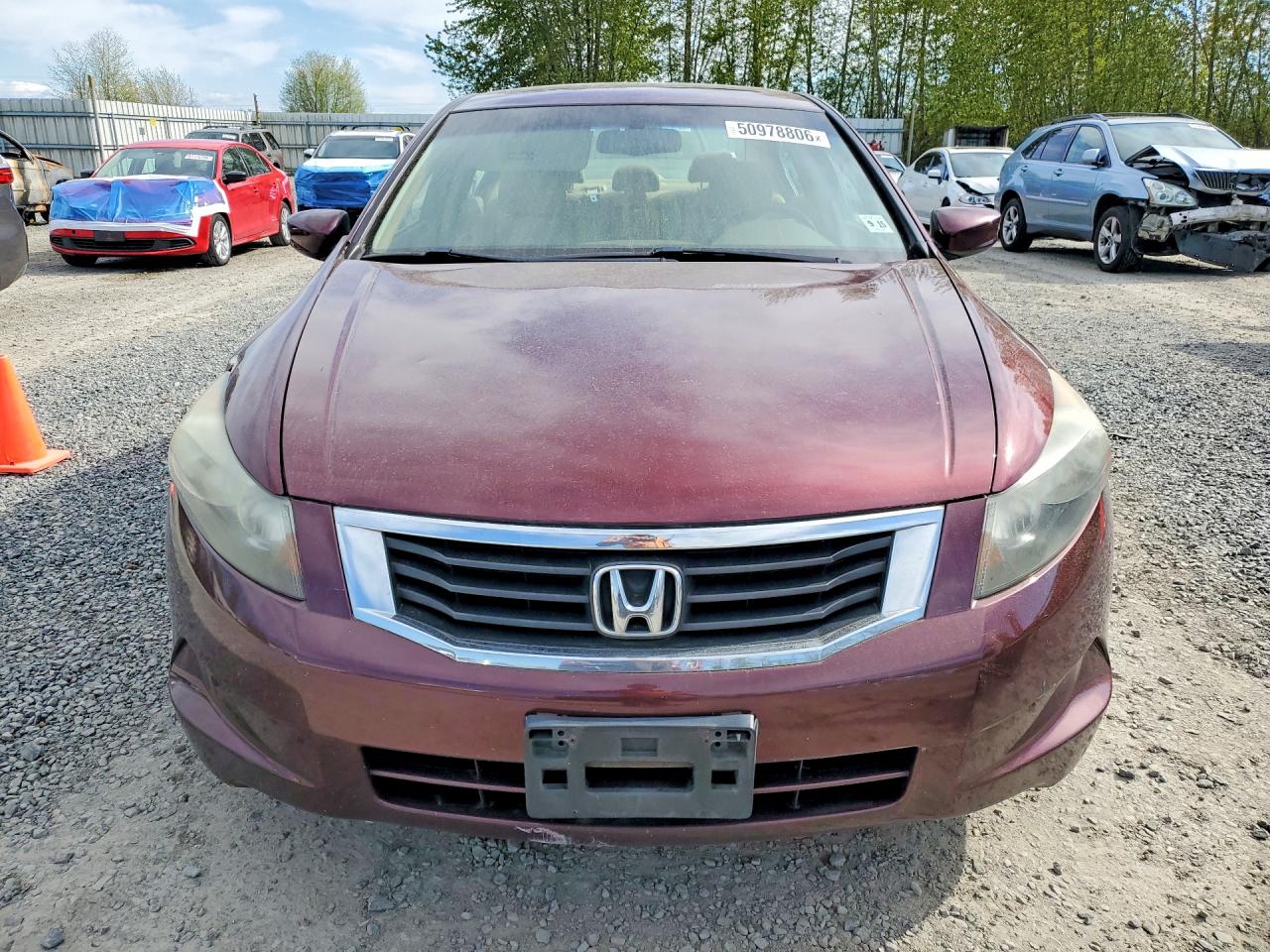 2010 HONDA ACCORD
