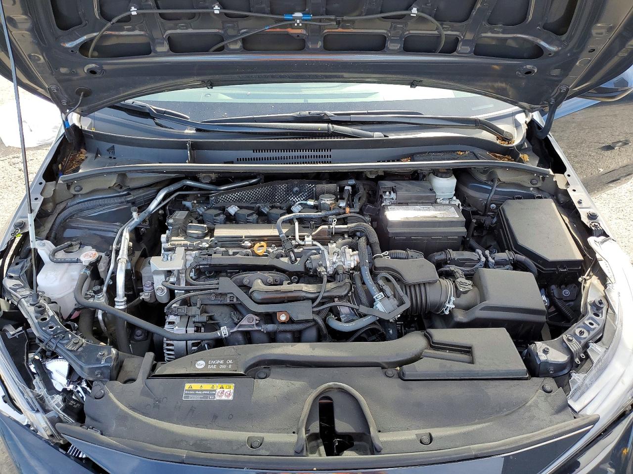2024 TOYOTA COROLLA