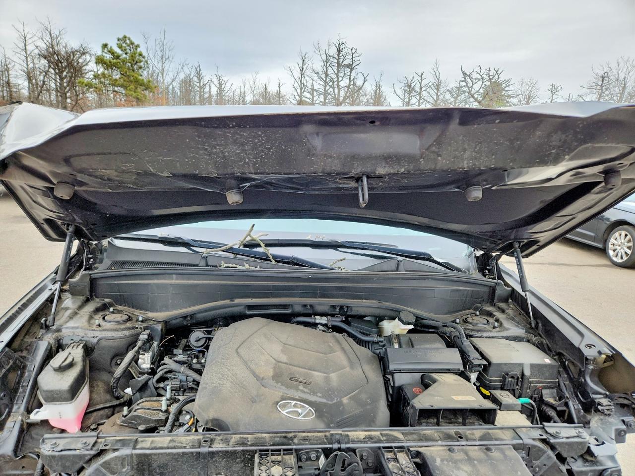 2023 HYUNDAI PALISADE