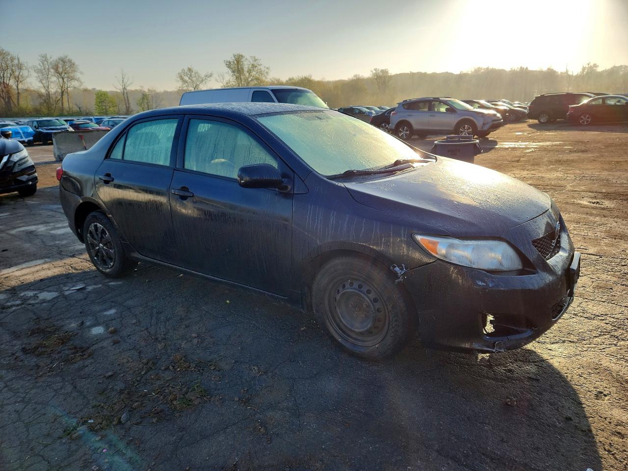 2009 TOYOTA COROLLA