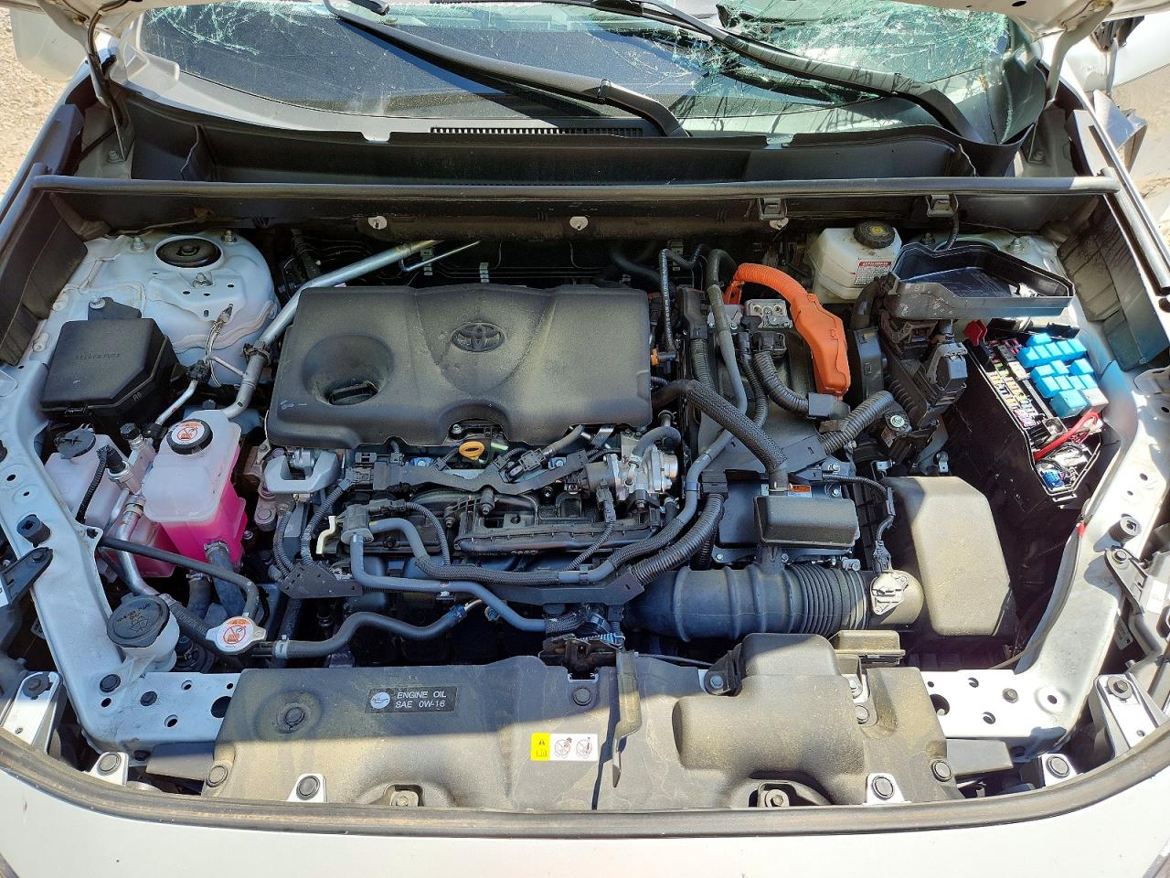 2024 TOYOTA RAV4