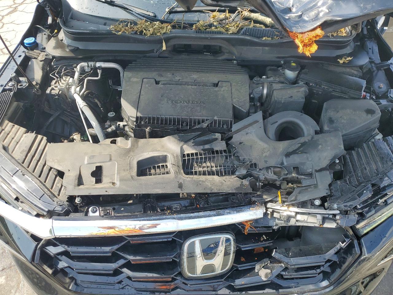 2023 HONDA PILOT
