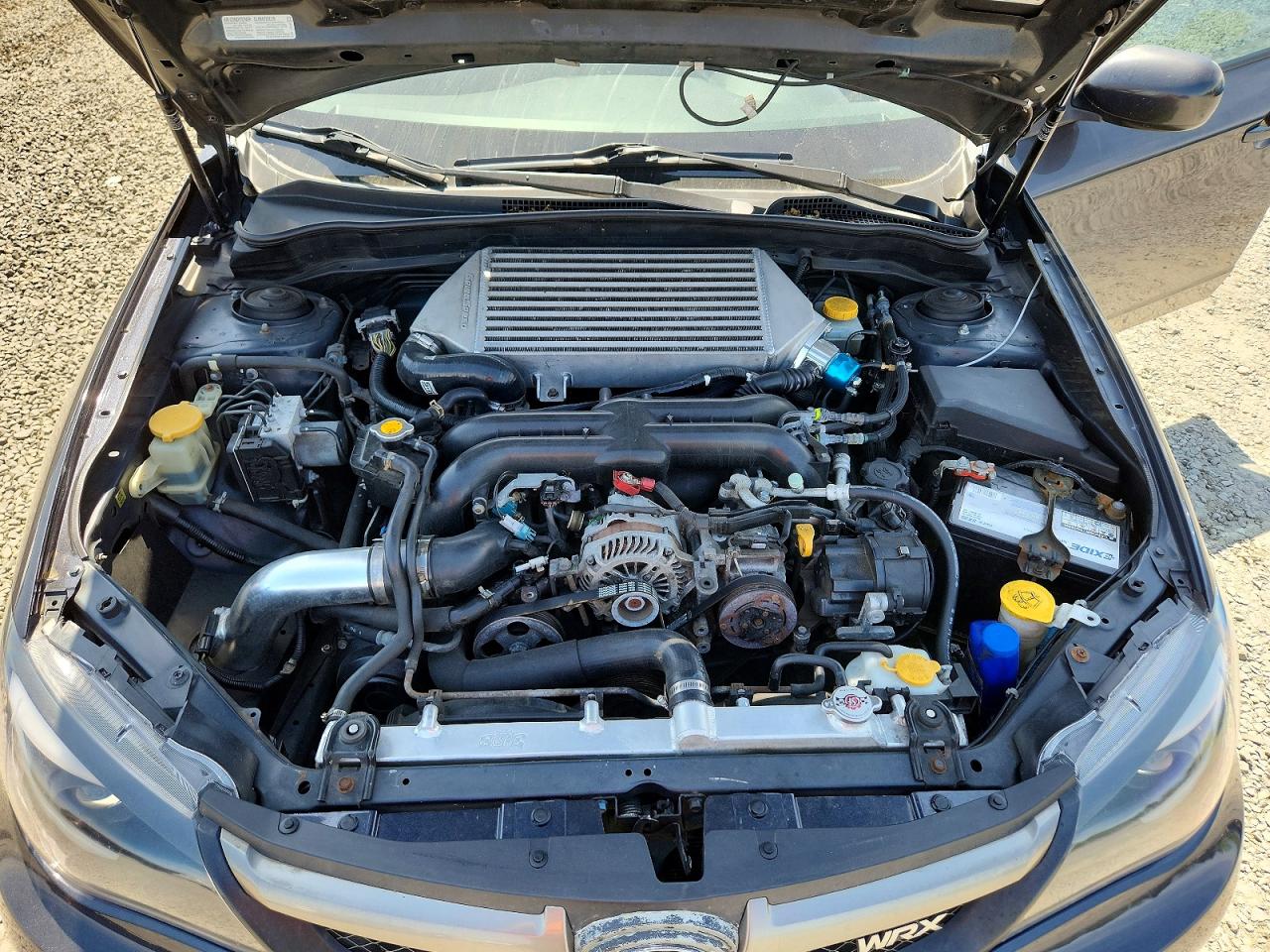 2010 SUBARU WRX