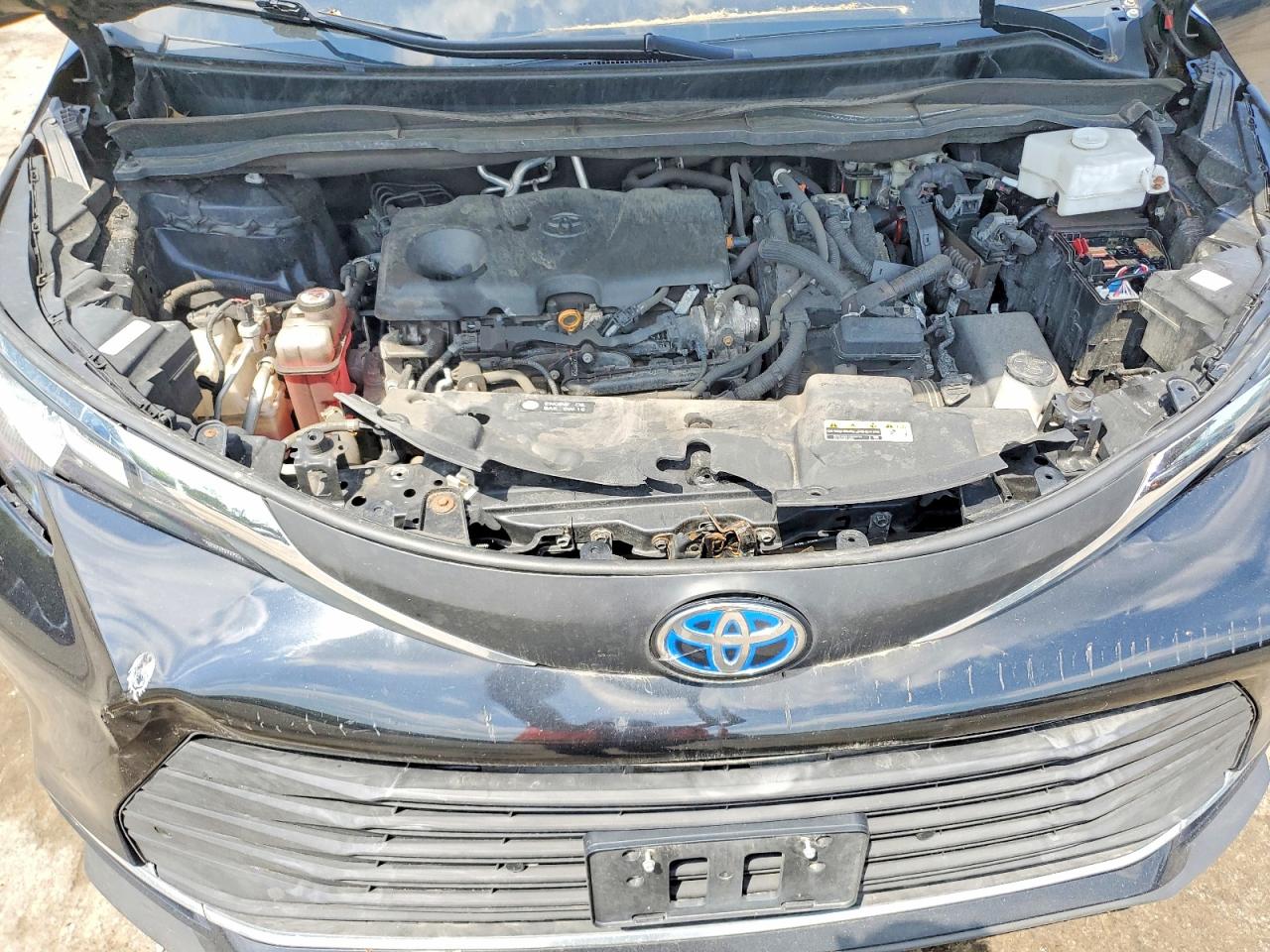 2024 TOYOTA All Models