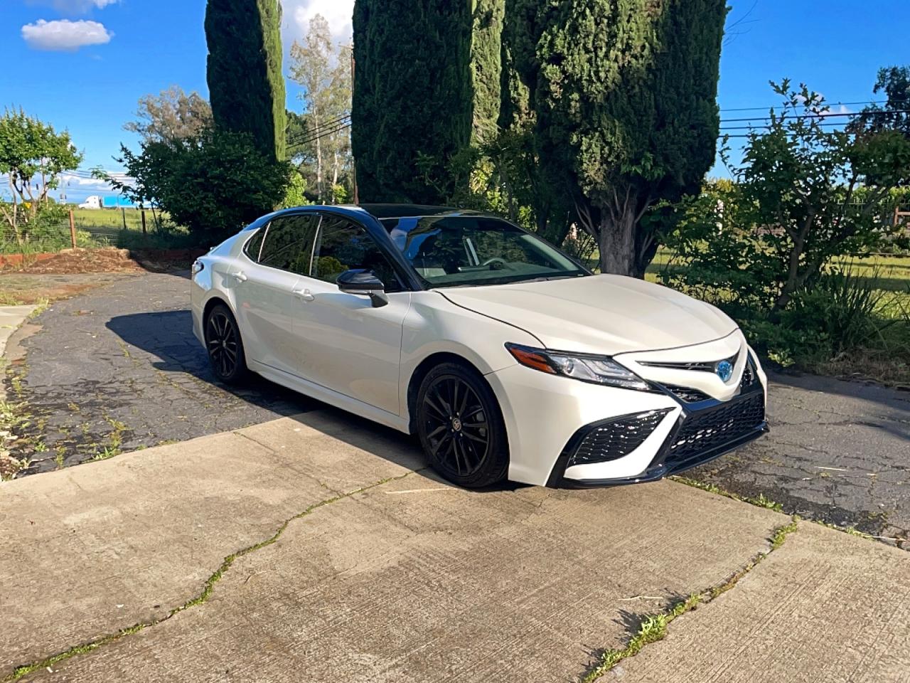 2023 TOYOTA CAMRY