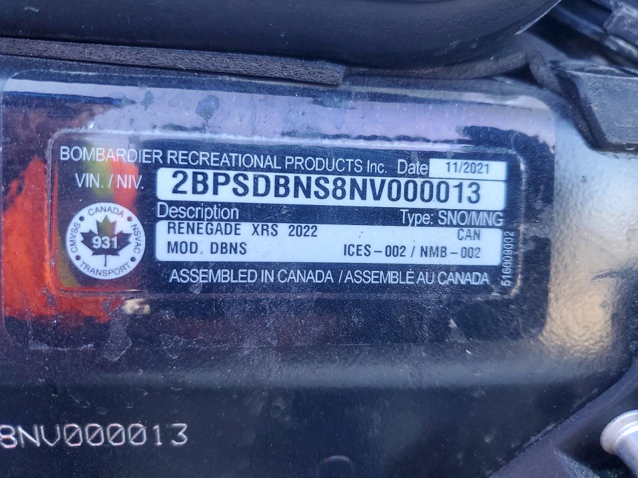 2022 SKI RENEGADE