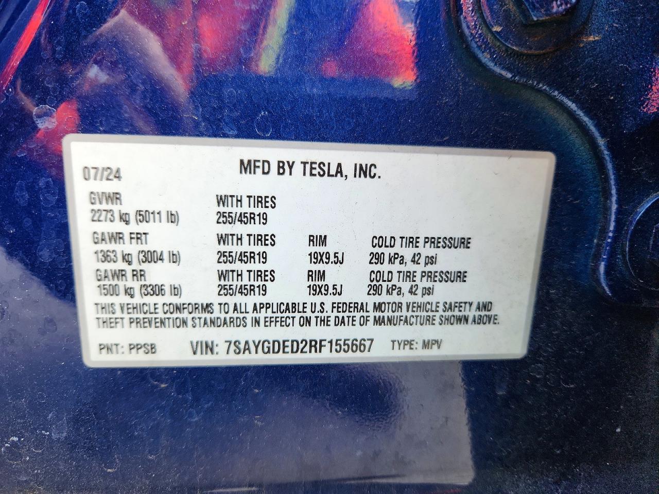 2024 TESLA MODEL Y