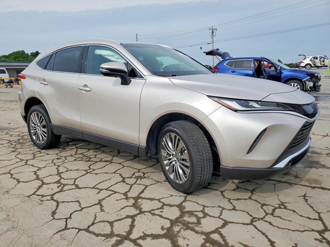 2023 TOYOTA VENZA